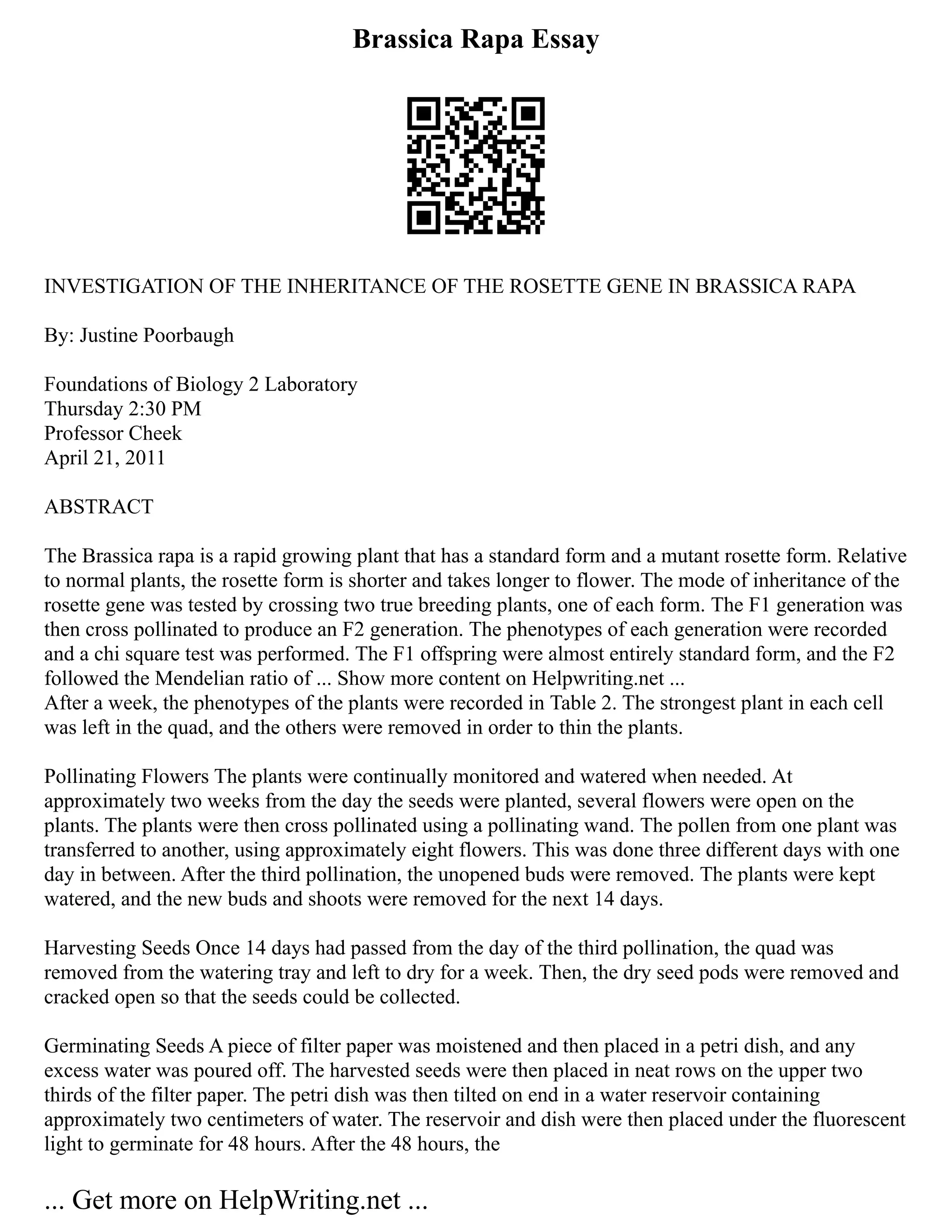 Brassica Rapa Essay
INVESTIGATION OF THE INHERITANCE OF THE ROSETTE GENE IN BRASSICA RAPA
By: Justine Poorbaugh
Foundations of Biology 2 Laboratory
Thursday 2:30 PM
Professor Cheek
April 21, 2011
ABSTRACT
The Brassica rapa is a rapid growing plant that has a standard form and a mutant rosette form. Relative
to normal plants, the rosette form is shorter and takes longer to flower. The mode of inheritance of the
rosette gene was tested by crossing two true breeding plants, one of each form. The F1 generation was
then cross pollinated to produce an F2 generation. The phenotypes of each generation were recorded
and a chi square test was performed. The F1 offspring were almost entirely standard form, and the F2
followed the Mendelian ratio of ... Show more content on Helpwriting.net ...
After a week, the phenotypes of the plants were recorded in Table 2. The strongest plant in each cell
was left in the quad, and the others were removed in order to thin the plants.
Pollinating Flowers The plants were continually monitored and watered when needed. At
approximately two weeks from the day the seeds were planted, several flowers were open on the
plants. The plants were then cross pollinated using a pollinating wand. The pollen from one plant was
transferred to another, using approximately eight flowers. This was done three different days with one
day in between. After the third pollination, the unopened buds were removed. The plants were kept
watered, and the new buds and shoots were removed for the next 14 days.
Harvesting Seeds Once 14 days had passed from the day of the third pollination, the quad was
removed from the watering tray and left to dry for a week. Then, the dry seed pods were removed and
cracked open so that the seeds could be collected.
Germinating Seeds A piece of filter paper was moistened and then placed in a petri dish, and any
excess water was poured off. The harvested seeds were then placed in neat rows on the upper two
thirds of the filter paper. The petri dish was then tilted on end in a water reservoir containing
approximately two centimeters of water. The reservoir and dish were then placed under the fluorescent
light to germinate for 48 hours. After the 48 hours, the
... Get more on HelpWriting.net ...
 