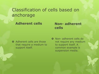 Adherent and non adherent cells Importance of substrate in cell