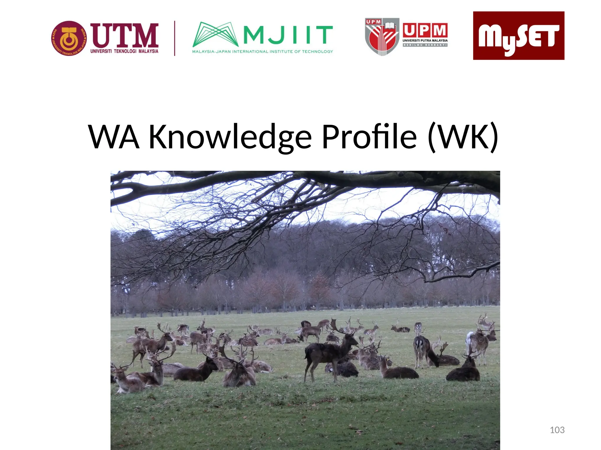 WA Knowledge Profile (WK)
103
 