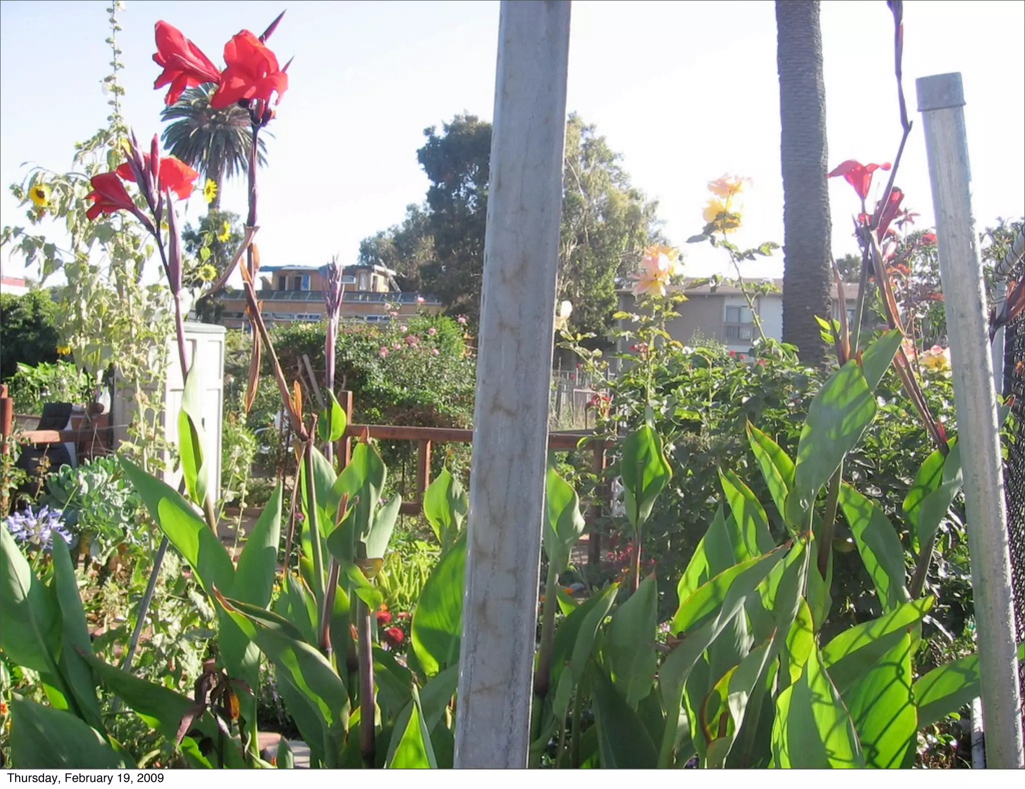 Art Center Summit talk - Future: To Go