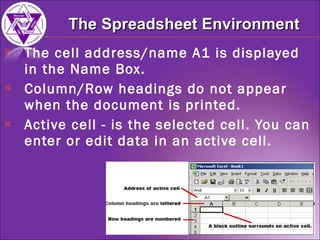 The cell address/name A1 is displayed in the Name Box. Column/Row headings do not appear when the document is printed. Active cell - is the selected cell. You can enter or edit data in an active cell.   The Spreadsheet Environment 