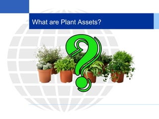 What are Plant Assets?
 