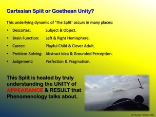 Cartesian Split or Goethean Unity?

This underlying dynamic of ‘The Split’ occurs in many places:
• Descartes:          Su...