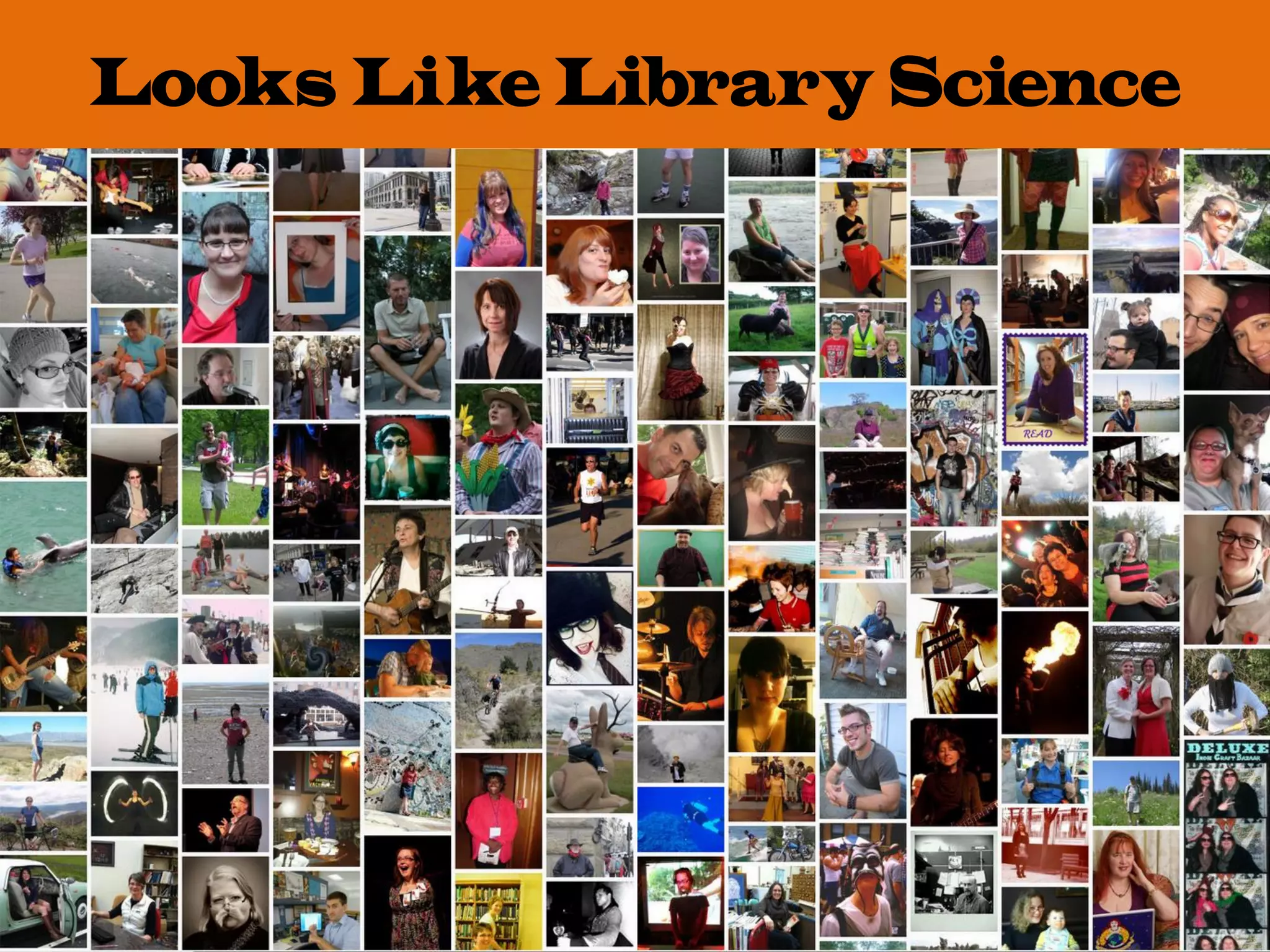 Looks Like Library Science