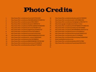 1. http://www.flickr.com/photos/miuenski/2570241302/
2. http://www.flickr.com/photos/26640885@N06/2976098745/
3. http://www.flickr.com/photos/powi/2081228827/
4. http://www.flickr.com/photos/elcupto/1186992673/
5. http://www.flickr.com/photos/31878512@N06/4456828300/
6. http://www.flickr.com/photos/larsomat/3452897110/
7. http://www.flickr.com/photos/pagedooley/3316963279/
8. http://www.flickr.com/photos/nicksee/3475300027/
9. http://www.flickr.com/photos/miuenski/2570241302/
10. http://www.flickr.com/photos/22850192@N03/8197025105/
11. http://www.flickr.com/photos/mr_physics/360649366/
12. http://www.flickr.com/photos/scttw/1819088991/
13. http://www.flickr.com/photos/8484949@N08/7397565188/
14. http://www.flickr.com/photos/atomictaco/3751828870/
15. http://www.flickr.com/photos/daunphilipp/477185363/
16. http://www.flickr.com/photos/booleansplit/2417890099/
17. http://www.flickr.com/photos/spilt-milk/438801903/
18. http://www.flickr.com/photos/midnightglory/2481769777/
19. http://www.google.com/glass/start/what-it-does/
20. http://www.flickr.com/photos/31916678@N07/4753800195/
21. http://www.flickr.com/photos/trekkyandy/367504866/
22. http://www.flickr.com/photos/9610484@N05/2947679774/
23. http://www.flickr.com/photos/victornuno/23285331/
24. http://www.flickr.com/photos/thomashawk/2460922167/
25. http://www.flickr.com/photos/nattu/1115248583/
26. http://www.flickr.com/photos/librarianbyday/5390065306/
27. Www.lookslikelibraryscience.com
28. http://www.flickr.com/photos/pbekesi/2947247980/
29. http://www.flickr.com/photos/miyukiutada/428153221/
30.
31.
Photo Credits
 