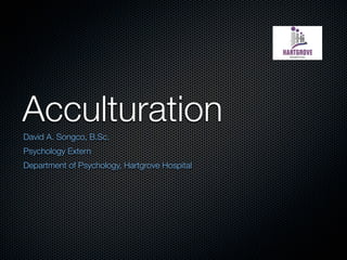 Acculturation
David A. Songco, B.Sc.
Psychology Extern
Department of Psychology, Hartgrove Hospital
 