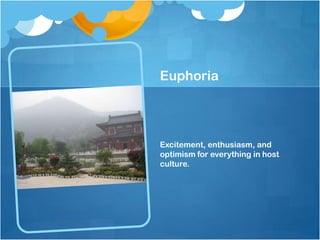 Euphoria

Excitement, enthusiasm, and
optimism for everything in host
culture.

 