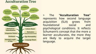 Acculturation PPT.pptx Schumann's Acculturation Model | PPTX