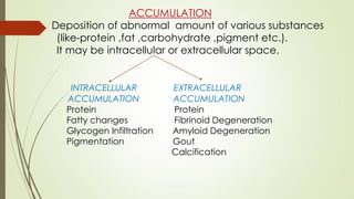 ACCUMULATION intracellular and extracellular.pdf