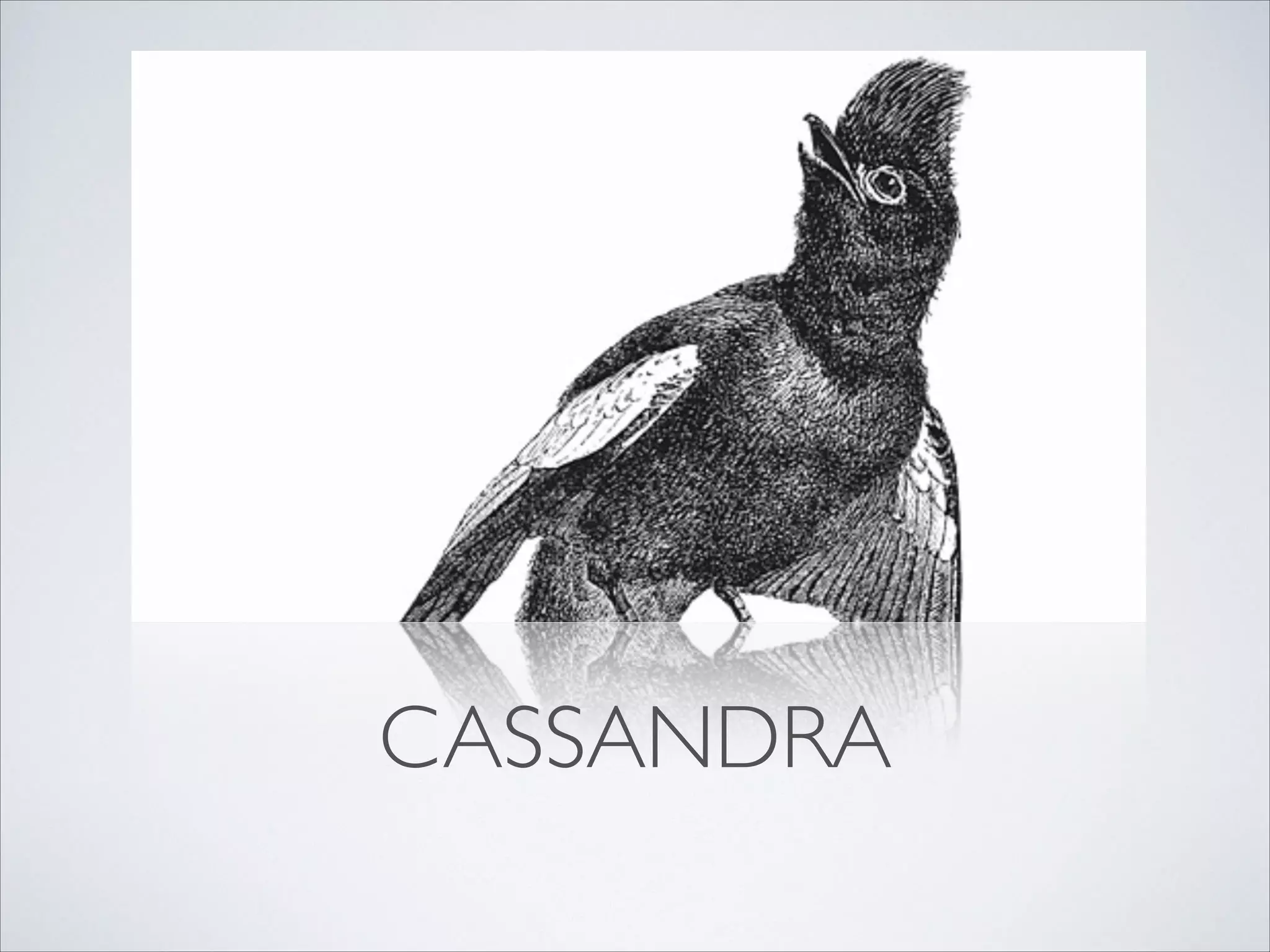 CASSANDRA
 