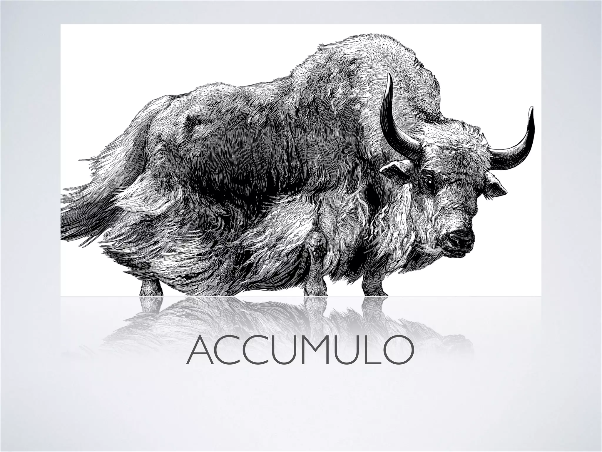 ACCUMULO
 