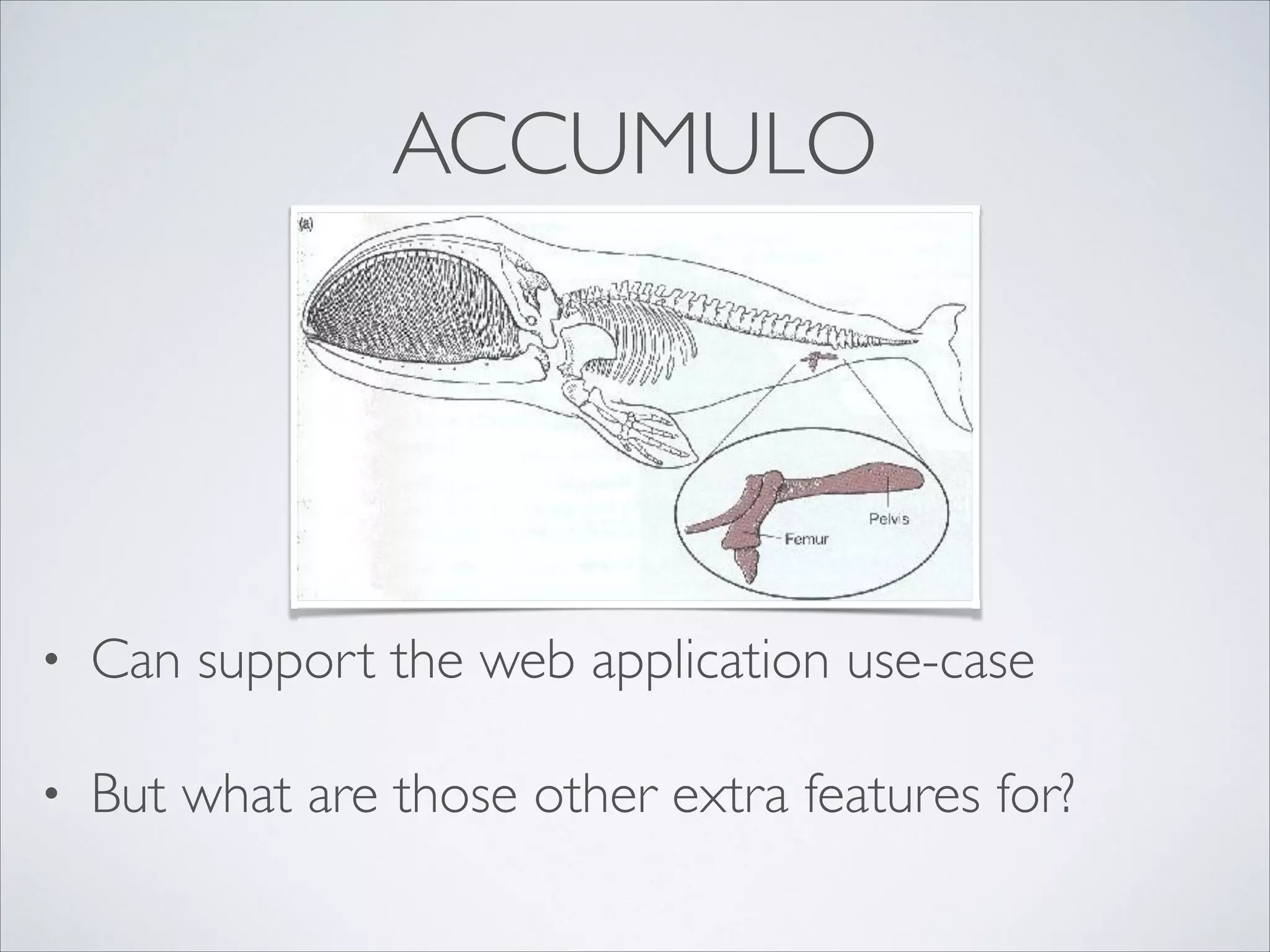 ACCUMULO
• Can support the web application use-case	

• But what are those other extra features for?
 