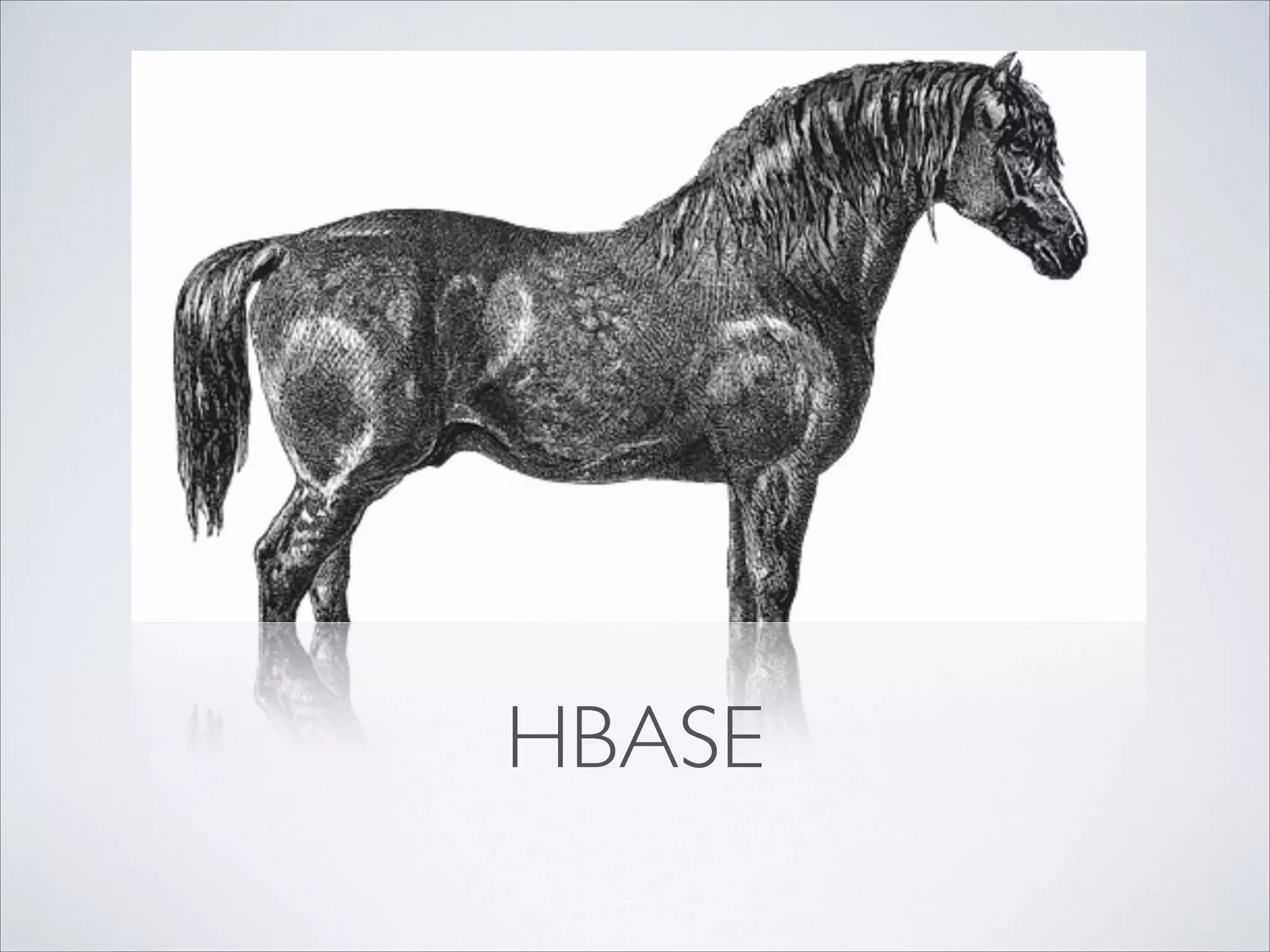HBASE
 