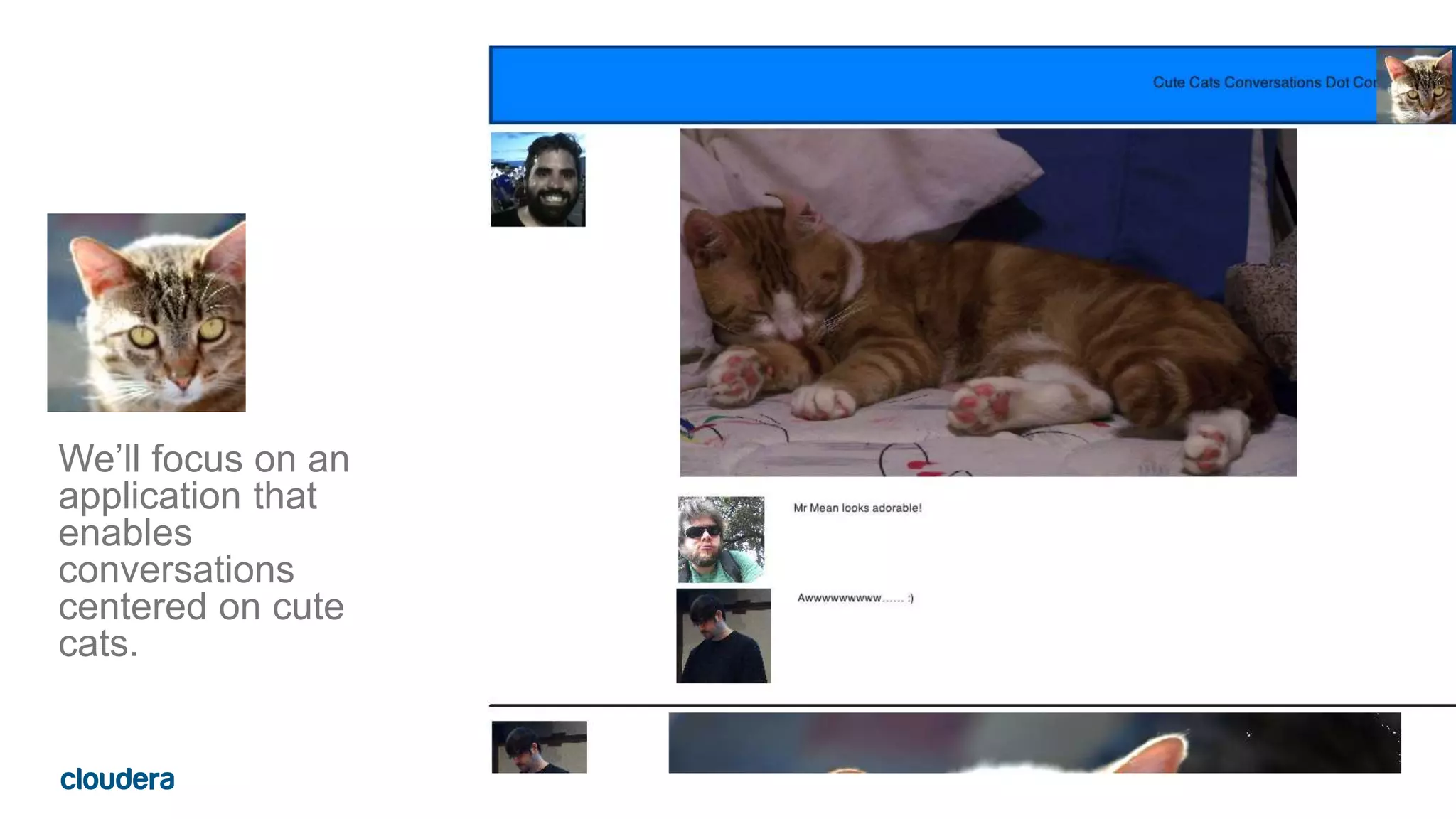 We’ll focus on an
application that
enables
conversations
centered on cute
cats.
 