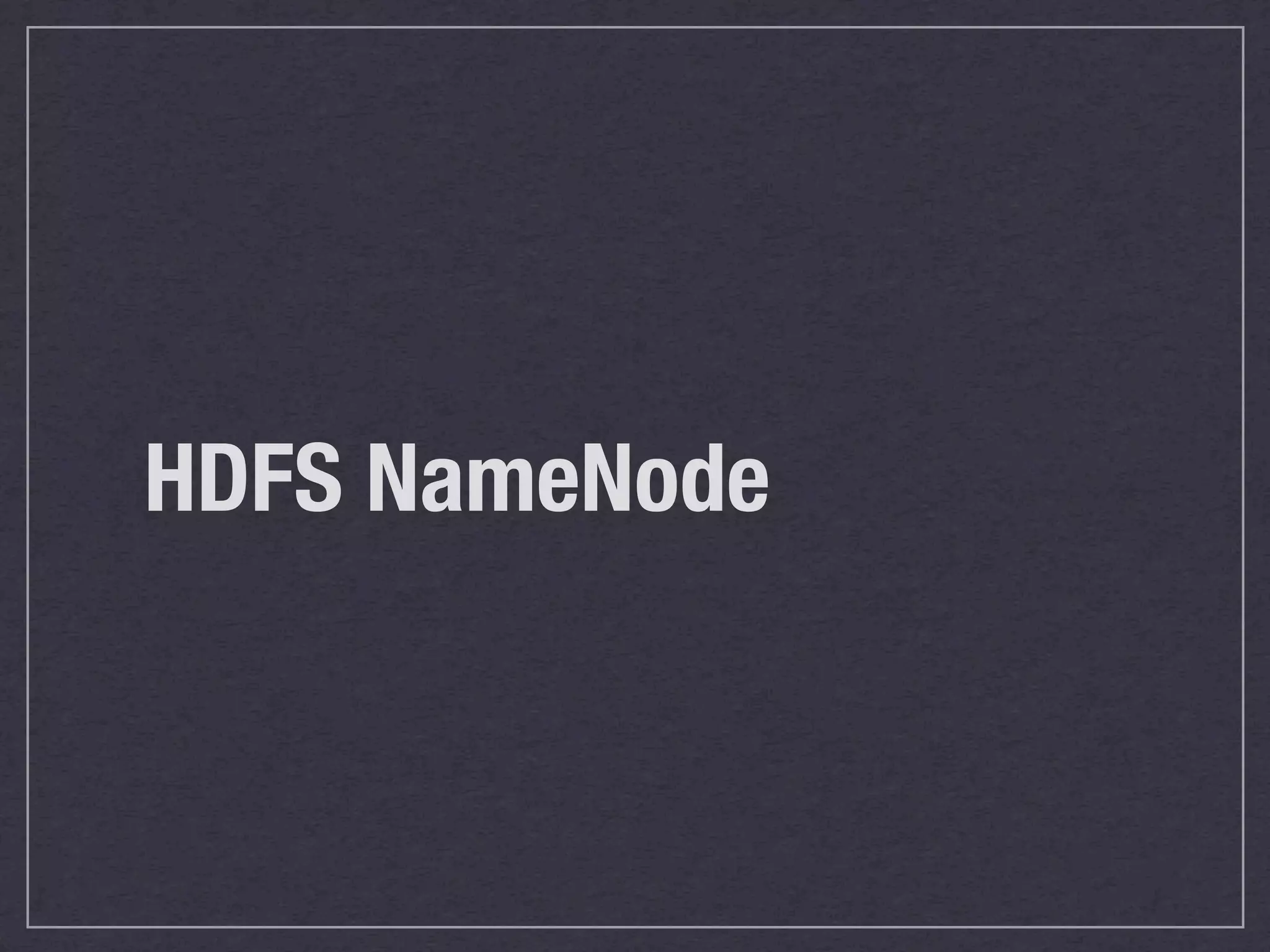 HDFS NameNode
 