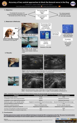 Accuracy of two ventral approaches to block the femoral nerve in the Dog
                                                                                       Echeverry DF1, Laredo F2, Belda E2, Soler M2, Gil F2, Agut A2
                                                 Faculty of Veterinary Medicine and Zootechnic. Tolima University (Colombia)1                              Veterinary Faculty. Murcia University (Spain)2




   1. Objective:                                                                                                                     The femoral triangle
                                                                                                                                          approach
                    To evaluate the accuracy of 2                                                                                           (Fta)                                                              The ultrasonographic
              ultrasound-guided approaches to locate                                                                                                                                                           characteristics of the
                  the femoral nerve (FN) in the dog                                                                                   The suprainguinal                                                       FN were also evaluated
                                                                                                                                          approach
                                                                                                                                            (SIa)

    2. Materials & Methods:
                                                                                                                                                  The accuracy of the
                                                                                                                                                  nerve location was
                                                                                                                                                     confirmad by
                                            N=5                                                                                                    nerve stimulation



                                                                                                                                                                                              Once the FN
                                                                       Fta: Position of the transducer                                                                                                                     0.2 mL kg-1 of
                                                                                                                                                                                              was located
                                                                       (linear 13 MHz) and the needle.                                                                                                                   saline was injected
                                                                                                                                                                                                                          around the nerve
                                                                  *
 Sedation: medetomidine (10μg/kg)                                                                                                                                                                                               To evaluate
 & butorphanol (0.25 mg/kg) IM                                                                                                                   0.5 mA;2Hz;0.1 ms

                                                                                                                                                             Positive
                                                                                                                                                                                                                                The injectate
                                                                                                                                                            response
                                                                                                                                                                                                                                 distribution
                                                                                                                                                                                                                                   pattern
                                                                                                                                                Extension of the stifle
                                                                        SIa: Position of the transducer
                                                                        (linear 13 MHz) and the needle.
                                                                        *resting period beetwen treatments
                                                                        8 days
     3. Results:
                                                                         ventral                                                                   A            ventral                                                    B

                                                                                                               2                                                                                     2



                                                                                                                                                                                                              3

                                                                                                                                                                                                         3        3
                                                                                                                                 1




                                                                                                                                               lateral                                                                lateral

                                                                         Figure 1. (A) ultrasonographic image correspondig to the ventral FTa. (B) Ultrasonographic image
                                                                         after the blocks. 1. femoral nerve; 2. femoral artery; 3. local anaesthetic.
                                                                          ventral                                                                    A           ventral                                                    B

                                                                                       2                           2
                                                                                                                                        4

                                                                               1                                           4
                                                                                                                                                                                   5

                                                                                                                       3                                                           1
                                                                                                                                                                                       5

                                                                                                                                                                               5
                                                                                   2


                                                                                                                                               lateral                                                                lateral


                                                                       Figure 2. (A) ultrasonographic image correspondig to the SIa. (B) Ultrasonographic image after the
                                                                       blocks. 1. femoral nerve; 2. iliopsoas muscle; 3. ilion; 4. needle. 5. local anaesthetic surronding the FN.

   Table1. Comparative study of the ultrasonographycal features beetwen the femoral triangle and suprainguinal approaches
                        Features                                                                                           Femoral triangle approach                                                         Suprainguinal approach
   Size of the Acoustic window                                                                                                        Small                                                                          Wide
   Visualization of the nerve during the blocks                                                                                             Scarce                                                            Adequate (permanent)
   Visualization of the needle during procedure                                                                                             Scarce                                                          Adequate (permenent)
   Distribution pattern of the injectate (saline)                                                   Irregular (in several planes under the femoral artery)                                         Around of the femoral nerve (donnut sign)
   Technical difficulty to perform the blocks                                                                                High                                                                                    Low
   Proximity to vascular structures                                                                              Close to the femoral artery                                                             Far from vascular structures
   Ultrasonographic appearence of the FN                                                                      Hyperechoic triangular structure                                                       Hypoechoic oval to rounded structure
   Accuracy of the approach to locate the femoral nerve                                                                                      60%                                                                      100%
   Use of the neurolocation to locate the target nerve                                                                                       40%                                                                       0%

3. Conclussion:
  The SIa seems to be an easier and more efficient technique to locate the FN in comparison to the FTa. The use of nervestimulation
  as a complementary technique of nerve location appears to be essential when locating the FN by a FTa.

  References:
  1. Campoy L, Bezuidenhout AJ, Gleed RD, et al: Ultrasound-guided approach for axillary brachial plexus, femoral nerve, and sciatic nerve blocks in dogs. Vet Anaesth Analg 2010; 37(2):144-53.
  2. Echeverry DF, Gil F, Laredo F, et al: Ultrasound-guided block of the sciatic and femoral nerves in dogs: a descriptive study. Vet J 2010; 186(2):210-5.
 