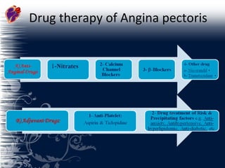 Drug therapy of Angina pectoris 