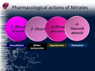 Pharmacological actions of Nitrates Vasodilation Reflex tachycardia Hypotension  Relaxation 