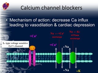 Calcium channel blockers Mechanism of action: decrease Ca influx leading to vasodilation & cardiac depression  L- type voltage sensitive Ca²+ channel  Ca²+ Na + Na + Ca²+ K + Na +-  K + ATPase exchange Na +-  Ca²+ exchange CCB 