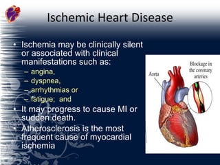 Ischemic Heart Disease Ischemia may be clinically silent or associated with clinical manifestations such as: angina, dyspnea, arrhythmias or fatigue;  and  It may progress to cause MI or sudden death. Atherosclerosis is the most frequent cause of myocardial ischemia 