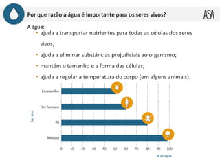 Por que razão a água é importante para os seres vivos?
A água:
• ajuda a transportar nutrientes para todas as células dos seres
vivos;
• ajuda a eliminar substâncias prejudiciais ao organismo;
• mantém o tamanho e a forma das células;
• ajuda a regular a temperatura do corpo (em alguns animais).
 