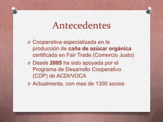 ACDI/VOCA - Paraguay