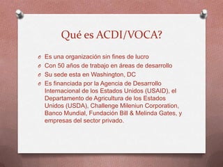 ACDI/VOCA - Paraguay