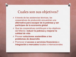 ACDI/VOCA - Paraguay