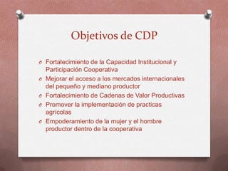 ACDI/VOCA - Paraguay