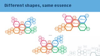 Different shapes, same essence
 