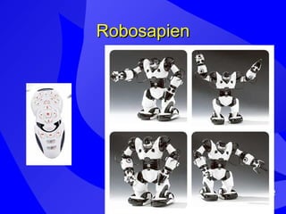 Robosapien 