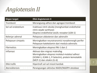 SeputarJantung.com
Angiotensin II
Organ target Efek Angiotensin II
Trombosit Merangsang adhesi dan agregasi trombosit
Sel-sel endotelium Inaktivasi nitrit oksida (menghambat endothelial
nitric oxyde synthase)
Ekspresi endothelial oxLDL receptor (LOX-1)
Kelenjar adrenal Pelepasan aldosteron dan adrenalin
Pelepasan simpatis Meningkatkan neurotransmisi noradrenergik perifer
Pelepasan katekolamin dari medula adrenalis
Fibrinolisis Meningkatkan ekspresi PAI-1 dan 2
Inflamasi Aktivasi dan migrasi makrofag
Meningkatkan ekspresi molekul-molekul adhesi
(VCAM-1, ICAM-1, P-Selectin), protein kemotaktik
(MCP-1) dan sitokin (IL-6)
Efek trofik Hipertrofi sel-sel miosit kardiak
Aterosklerosis Perangsangan aktivitas NADH/NADPH oksidase
7
 