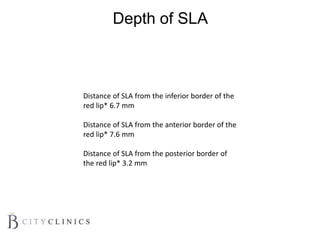 Depth of SLA
Distance of SLA from the inferior border of the
red lip* 6.7 mm
Distance of SLA from the anterior border of the
red lip* 7.6 mm
Distance of SLA from the posterior border of
the red lip* 3.2 mm
 