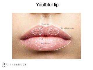Youthful lip
 