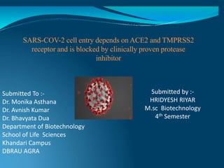 SARS-COV-2 cell entry depends on ACE2 and TMPRSS2
receptor and is blocked by clinically proven protease
inhibitor
Submitted To :-
Dr. Monika Asthana
Dr. Avnish Kumar
Dr. Bhavyata Dua
Department of Biotechnology
School of Life Sciences
Khandari Campus
DBRAU AGRA
Submitted by :-
HRIDYESH RIYAR
M.sc Biotechnology
4th Semester
 
