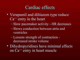 Cardiac effects Verapamil and diltiazem type reduce Ca ++  entry in the heart  Slow pacemaker activity - HR decreases Slows conduction between atria and ventricles  Lessens strength of contraction - decreased stroke volume Dihydropyridines have minimal effects on Ca ++  entry in heart muscle 