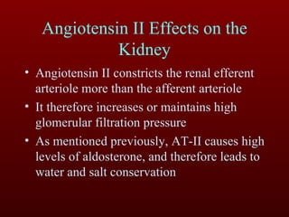 Angiotensin II Effects on the Kidney Angiotensin II constricts the renal efferent arteriole more than the afferent arteriole It therefore increases or maintains high glomerular filtration pressure As mentioned previously, AT-II causes high levels of aldosterone, and therefore leads to water and salt conservation 