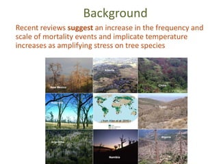 Background
Recent reviews suggest an increase in the frequency and
scale of mortality events and implicate temperature
increases as amplifying stress on tree species
 