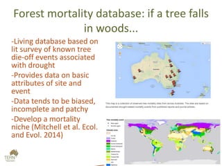 Forest mortality database: if a tree falls
in woods...
-Living database based on
lit survey of known tree
die-off events associated
with drought
-Provides data on basic
attributes of site and
event
-Data tends to be biased,
incomplete and patchy
-Develop a mortality
niche (Mitchell et al. Ecol.
and Evol. 2014)
 