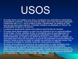 El acebo tiene una madera muy dura y compacta muy estimada en ebanistería, marquetería y tornería. Toma muy bien los tintes, por lo que se hacen perfectas imitaciones del  ébano . De la corteza cocida y fermentada, se obtiene la "liga" que se usa para cazar pájaros, y también contiene un alcaloide, la "ilicina", de propiedades similares a la quinina. La planta es igualmente usada como adorno para fechas de navidad. El acebo tiene desde antiguo un gran uso en jardinería por su especial belleza en las hojas y frutos, además de ser un excelente seto ya que tolera bien la poda, por lo que existen gran cantidad de variedades o "cultivares". Se usa tradicionalmente, en origen en el centro de Europa, como adorno navideño, ya que suele tener frutos en esa época, lo que le ha acarreado no pocos daños a la especie, hasta el punto de estar en peligro de extinción en algunas zonas. Hoy es especie protegida en amplias zonas de varios países europeos. El hecho de fructificar en invierno le da a esta planta un valor ecológico muy importante, al ser una buena fuente de alimento para muchas especies, especialmente de pájaros, en la estación más dura por la escasez de recursos. Estos mismos frutos se consideran purgantes y vomitivos para los humanos, por lo que se ha usado en medicina tradicional. Así mismo, las hojas son diuréticas y, maceradas en vino se emplean como tonificantes. USOS 