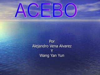 Por Alejandro Vena Alvarez Y Wang Yan Yun ACEBO 