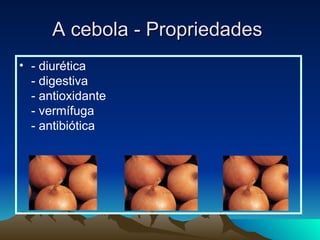 A cebola - Propriedades  - diurética - digestiva - antioxidante - vermífuga - antibiótica  