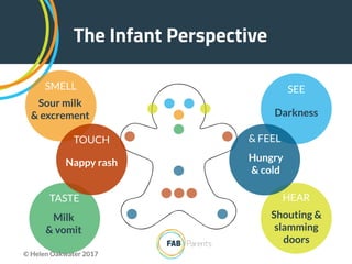 The Infant Perspective
SEE
Darkness
HEAR
Shouting &
slamming
doors
TASTE
Milk  
& vomit
SMELL
Sour milk
& excrement
TOUCH
Nappy rash
& FEEL
Hungry  
& cold
© Helen Oakwater 2017
 
