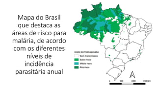 Mapa do Brasil
que destaca as
áreas de risco para
malária, de acordo
com os diferentes
níveis de
incidência
parasitária anual
 