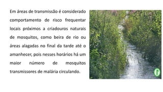 Em áreas de transmissão é considerado
comportamento de risco frequentar
locais próximos a criadouros naturais
de mosquitos, como beira de rio ou
áreas alagadas no final da tarde até o
amanhecer, pois nesses horários há um
maior número de mosquitos
transmissores de malária circulando.
 