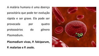 A malária humana é uma doença
parasitária que pode ter evolução
rápida e ser grave. Ela pode ser
provocada por quatro
protozoários do gênero
Plasmodium.
Plasmodium vivax, P. falciparum,
P. malariae e P. ovale.
 