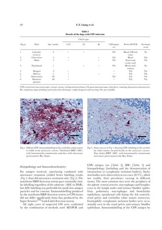Histopathology and Immunohistochemistry
For antigen retrieval, autoclaving combined with
microwave treatment yielded better labelling results
(Fig.1) than did microwave treatment only (Fig.2).The
non-biotin HRP detection system gave essentially simi-
lar labelling regardless of the substrate (AEC or DAB),
but AEC labelling was preferable for small, ¢ne antigen
particles and for contrast. Immunolabelling produced
by the non-biotin HRP detection system in CNS tissues
did not di¡er signi¢cantly from that produced by the
Super SensitiveTM
Link-Label detection system.
All eight cases of suspected CD were con¢rmed
by the combination of methods used (RT-PCR and
CDV antigen test [Table 2], IHC [Table 3] and
histopathology [including and the demonstration of
intranuclear or cytoplasmic inclusion bodies]). Inclu-
sionbodies were observed in seven cases (87.5%), albeit
not readily, their prevalence varying in di¡erent
tissues. The most common sites were the periphery of
the splenic central arteries, macrophages and lympho-
cytes in the lymph nodes and urinary bladder epithe-
lium, pulmonary macrophages and bronchiolar
epithelium, ependymal cells lining the 4th ventricle,
renal pelvis and cerebellar white matter astrocytes.
Eosinophilic cytoplasmic inclusion bodies were occa-
sionally seen in the renal pelvis and urinary bladder
epithelium. Immunolabelling of the CDV antigen by
ARTICLE IN PRESS
Table 2
Details of the dogs with CDV infection
Clinical signs
Dog no. Breed Age (months) CNS GI Re CDVantigen
test
Positive RT-PCR Vaccination
record
1 Labrador
retriever
2 + + NA Blood, CSFand
urine
No
2 Chow chow 3 + + NA Blood NA
3 Shiba 3 + + NA Nasal swab,
ocular swab
NA
4 Dachshund 1 + + NA Blood, stool,
vomitus
No
5 Mongrel 3 + + NA NA
6 Shih tzu 2 + + + NA NA
7 Pomeranian 60 + NA NA NA
8 Miniature
pinscher
60 + + NA NA
CNS, central nervous system signs (seizure, ataxia, circlingand myoclonus); GI, gastrointestinal signs (diarrhoea, vomiting, depressionandanorexia);
Re, respiratory signs including nasal and ocular discharge, cough, dyspnoea and sneezing; NA, not available.
Fig.1. Di¡use CDVimmunolabelling inthe cerebellar white matter
is visible in the astrocytes (arrow). Non-biotin HRP (AEC)
with haematoxylin counterstain; autoclave with microwave
pretreatment. Bar, 50 mm.
Fig.2. Same area as in Fig.1, showing CDV labelling in the cerebel-
lar white matter, located focally in the astrocytes (arrow).
Non- biotin HRP (AEC) with haematoxylin counterstain;
microwave pretreatment only. Bar, 50 mm.
C.T. Liang et al.60
 