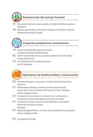 81	 Restauración forestal en áreas invadidas con helecho Pteridium aquilinum
		 El Machich
	89	 Módulos agroforestales y restauración ecológica en la Reserva El Zapotal
		 Pronatura Península de Yucatán
	97	 Programa de desarrollo integral comunitario
		 Fundación Haciendas del Mundo Maya
	105	 Destino turístico Maya Ka’an y proyectos productivos en la Zona Maya
		 Amigos de Sian Ka’an
	115	 Una miel local en el mercado internacional
		EDUCE Cooperativa
	123	 Monitoreo del jaguar y sus presas en la Reserva Biocultural Kaxil Kiuic
		 Kaxil Kiuic
	131	 Red de reservas privadas y sociales en la Península de Yucatán
		 Amigos de Sian Ka’an, Pronatura Península de Yucatán, Kaxil Kiuic,
		 Reserva Ecológica El Edén
	137	 Conservación comunitaria y un cambio de visión, La Mancolona
		 Iniciativa para el Desarrollo Integral Comunitario del Sureste
	141	 Conservación de fauna silvestre en áreas dedicadas a la ganadería:
		 prevención de ataques de jaguar
		Biocenosis
	147	 Reserva Ecológica El Edén y una visión de conectividad de los ecosistemas
		 Reserva Ecológica El Edén
	153	 Consideraciones finales
Restauración del paisaje forestal
Proyectos productivos comunitarios
Monitoreo de biodiversidad y conservación
 