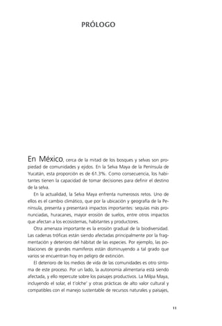 11
En México, cerca de la mitad de los bosques y selvas son pro­
piedad de comunidades y ejidos. En la Selva Maya de la Península de
Yucatán, esta proporción es de 61.3%. Como consecuencia, los habi­
tantes tienen la capacidad de tomar decisiones para definir el destino
de la selva.
En la actualidad, la Selva Maya enfrenta numerosos retos. Uno de
ellos es el cambio climático, que por la ubicación y geografía de la Pe­
nínsula, presenta y presentará impactos importantes: sequías más pro­
nunciadas, huracanes, mayor erosión de suelos, entre otros impactos
que afectan a los ecosistemas, habitantes y productores.
Otra amenaza importante es la erosión gradual de la biodiversidad.
Las cadenas tróficas están siendo afectadas principalmente por la frag­
mentación y deterioro del hábitat de las especies. Por ejemplo, las po­
blaciones de grandes mamíferos están disminuyendo a tal grado que
varios se encuentran hoy en peligro de extinción.
El deterioro de los medios de vida de las comunidades es otro sínto­
ma de este proceso. Por un lado, la autonomía alimentaria está siendo
afectada, y ello repercute sobre los paisajes productivos. La Milpa Maya,
incluyendo el solar, el t’olche’ y otras prácticas de alto valor cultural y
compatibles con el manejo sustentable de recursos naturales y paisajes,
PRÓLOGO
 