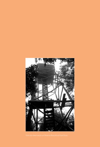 Torre de observación en Reserva Biocultural Kaxil Kiuic.
 